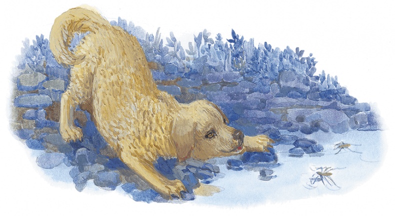 Иллюстрация к книге — Жук на ниточке [i_074.jpg]