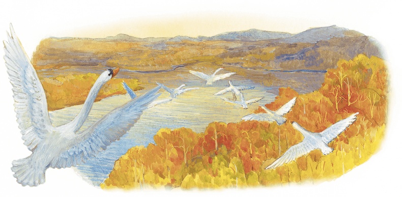 Иллюстрация к книге — Жук на ниточке [i_086.jpg]