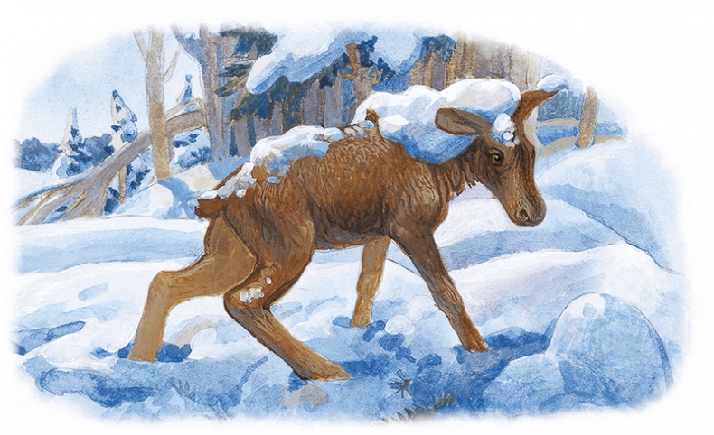 Иллюстрация к книге — Жук на ниточке [i_095.jpg]