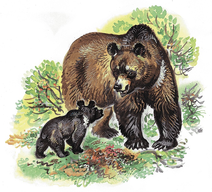 Иллюстрация к книге — Гусиный остров (сборник) [i_002.jpg]