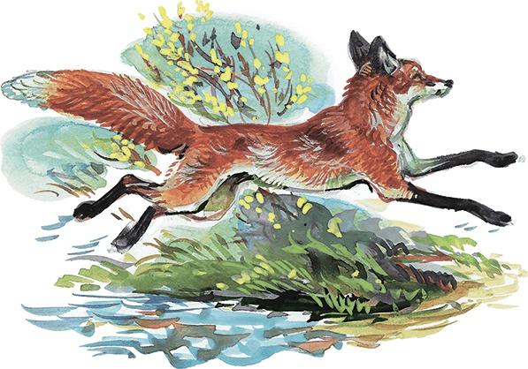 Иллюстрация к книге — Гусиный остров (сборник) [i_003.jpg]