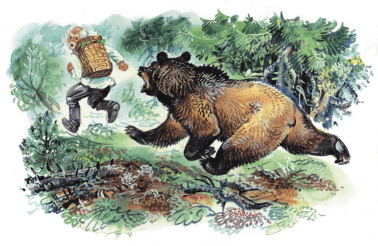 Иллюстрация к книге — Гусиный остров (сборник) [i_004.jpg]