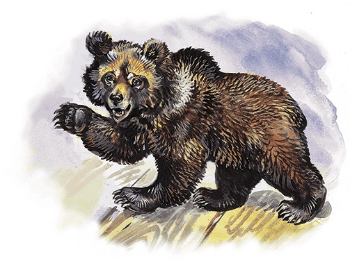 Иллюстрация к книге — Гусиный остров (сборник) [i_009.jpg]