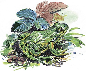 Иллюстрация к книге — Гусиный остров (сборник) [i_023.jpg]