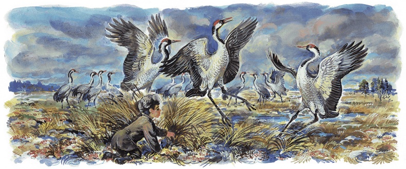 Иллюстрация к книге — Гусиный остров (сборник) [i_024.jpg]