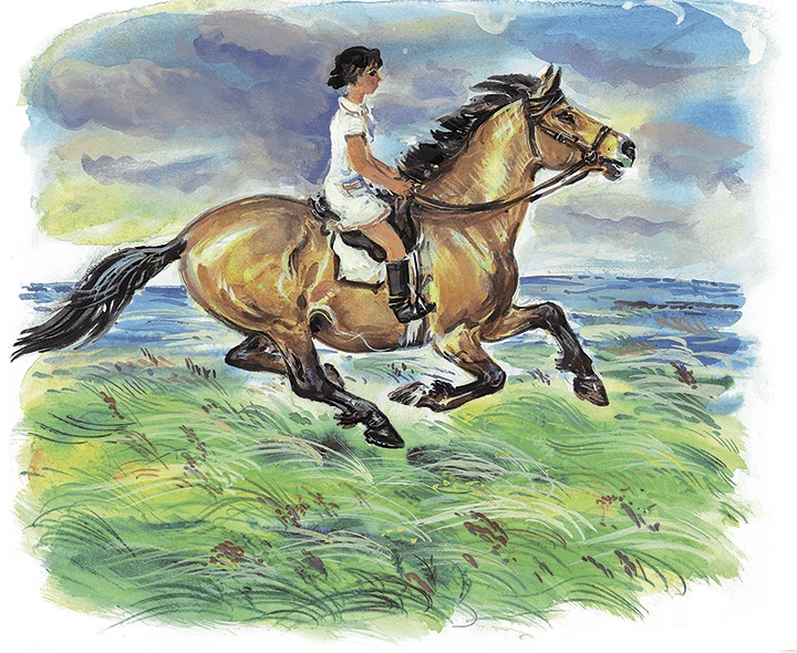 Иллюстрация к книге — Гусиный остров (сборник) [i_036.jpg]