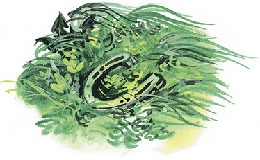 Иллюстрация к книге — Гусиный остров (сборник) [i_038.jpg]