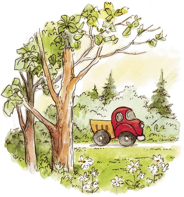 Иллюстрация к книге — Приключения машинки Кнопки [i_016.jpg]