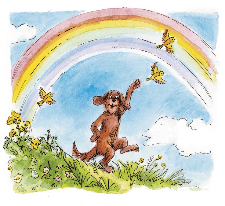 Иллюстрация к книге — Приключения машинки Кнопки [i_018.jpg]