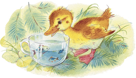 Иллюстрация к книге — Храбрый утенок [i_005.jpg]