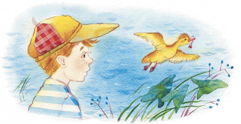 Иллюстрация к книге — Храбрый утенок [i_006.jpg]