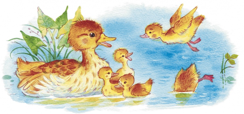 Иллюстрация к книге — Храбрый утенок [i_007.jpg]