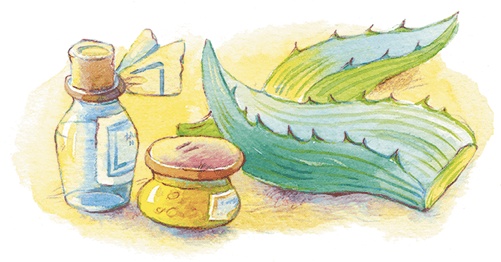 Иллюстрация к книге — Храбрый утенок [i_021.jpg]