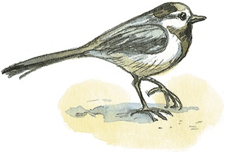 Иллюстрация к книге — Лисичкин хлеб [i_010.jpg]