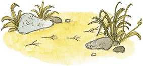 Иллюстрация к книге — Лисичкин хлеб [i_011.jpg]