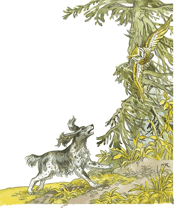 Иллюстрация к книге — Лисичкин хлеб [i_015.jpg]