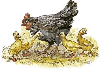 Иллюстрация к книге — Лисичкин хлеб [i_021.jpg]