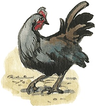 Иллюстрация к книге — Лисичкин хлеб [i_023.jpg]