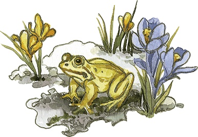 Иллюстрация к книге — Лисичкин хлеб [i_033.jpg]