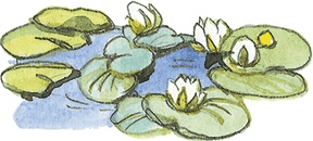 Иллюстрация к книге — Лисичкин хлеб [i_039.jpg]