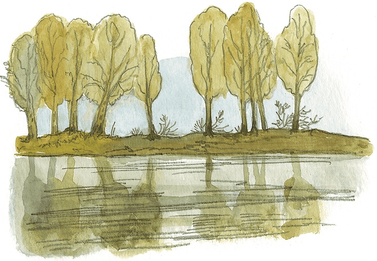 Иллюстрация к книге — Лисичкин хлеб [i_042.jpg]