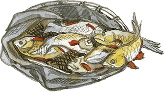 Иллюстрация к книге — Лисичкин хлеб [i_043.jpg]