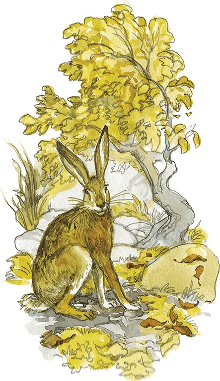 Иллюстрация к книге — Лисичкин хлеб [i_044.jpg]