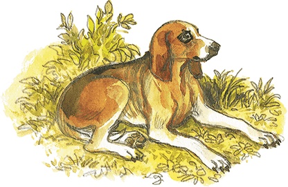 Иллюстрация к книге — Лисичкин хлеб [i_047.jpg]