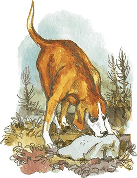 Иллюстрация к книге — Лисичкин хлеб [i_057.jpg]