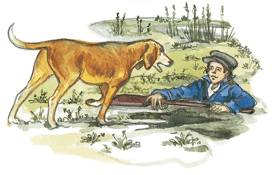 Иллюстрация к книге — Лисичкин хлеб [i_063.jpg]