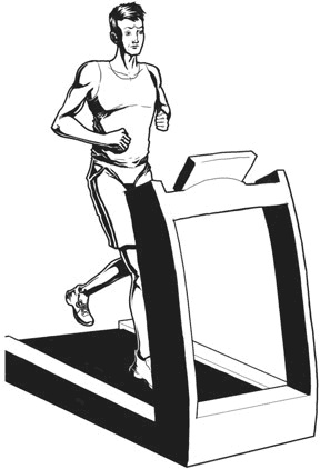 Иллюстрация к книге — Другой ты! Книга, которая изменит ваше отношение к спорту и питанию [i_019.jpg]