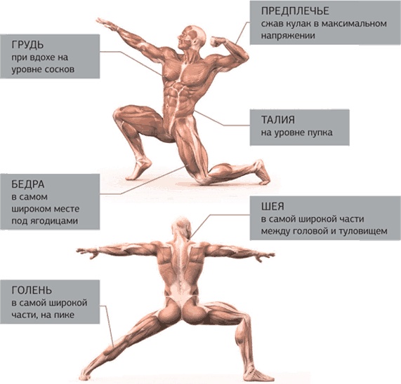 Иллюстрация к книге — Другой ты! Книга, которая изменит ваше отношение к спорту и питанию [i_024.jpg]