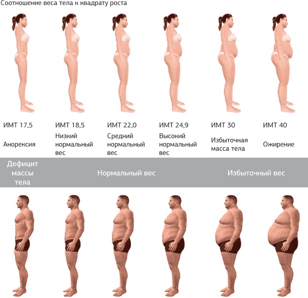 Иллюстрация к книге — Другой ты! Книга, которая изменит ваше отношение к спорту и питанию [i_025.jpg]