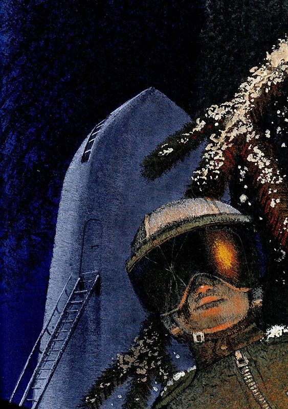 Иллюстрация к книге — Путешествие на Тандадрику [i_011.jpg]