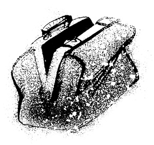 Иллюстрация к книге — Путешествие на Тандадрику [i_016.jpg]