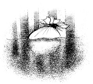 Иллюстрация к книге — Путешествие на Тандадрику [i_020.jpg]