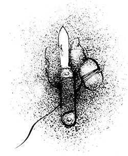 Иллюстрация к книге — Путешествие на Тандадрику [i_026.jpg]