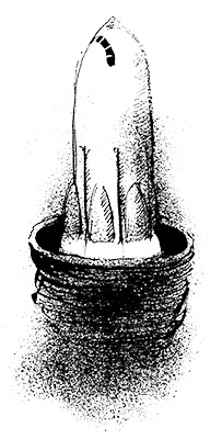 Иллюстрация к книге — Путешествие на Тандадрику [i_045.jpg]