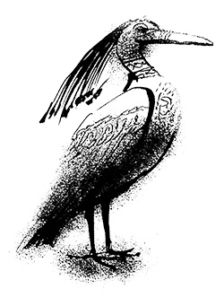 Иллюстрация к книге — Путешествие на Тандадрику [i_056.jpg]