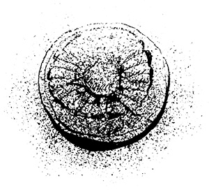 Иллюстрация к книге — Путешествие на Тандадрику [i_060.jpg]