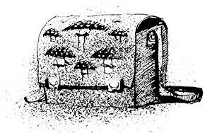 Иллюстрация к книге — Путешествие на Тандадрику [i_065.jpg]