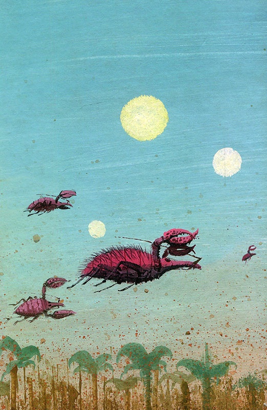 Иллюстрация к книге — Путешествие на Тандадрику [i_070.jpg]