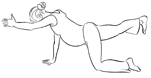 Иллюстрация к книге — Йога для беременных [i_003.jpg]