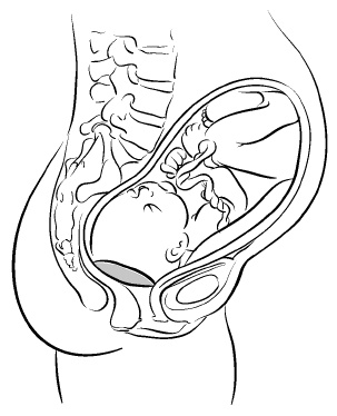 Иллюстрация к книге — Йога для беременных [i_022.jpg]