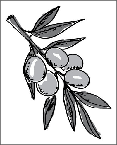 Иллюстрация к книге — Француженки едят с удовольствием. Уроки любви и кулинарии от современной Джулии Чайлд [_057.jpg]