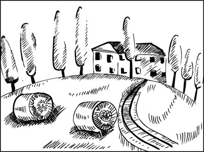 Иллюстрация к книге — Француженки едят с удовольствием. Уроки любви и кулинарии от современной Джулии Чайлд [_082.jpg]