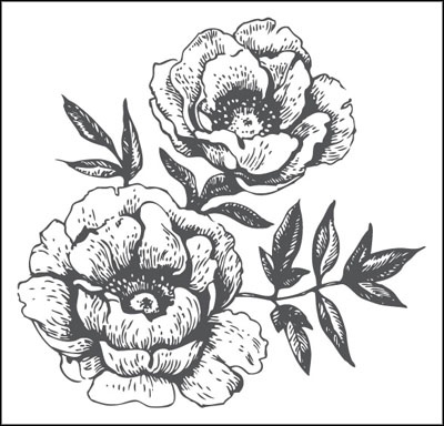 Иллюстрация к книге — Француженки едят с удовольствием. Уроки любви и кулинарии от современной Джулии Чайлд [_158.jpg]