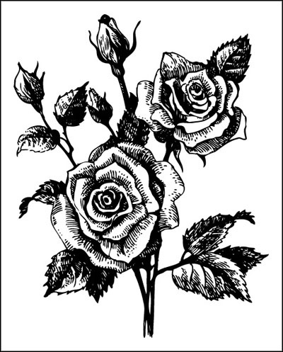 Иллюстрация к книге — Француженки едят с удовольствием. Уроки любви и кулинарии от современной Джулии Чайлд [_288.jpg]