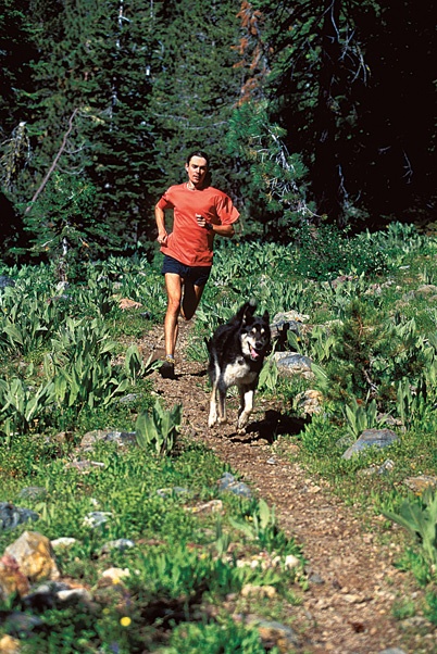 Иллюстрация к книге — Ешь правильно, беги быстро. Правила жизни сверхмарафонца [i_008.jpg]