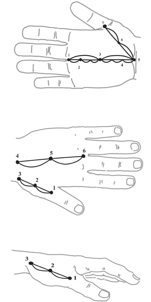 Иллюстрация к книге — Исцеляющие прикосновения. Энергетический массаж по линиям и точкам [_18.jpg]